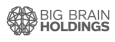 big brain holdings